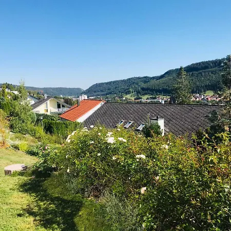 Zollern-Alb Aktiv Apartment Albstadt Exterior photo